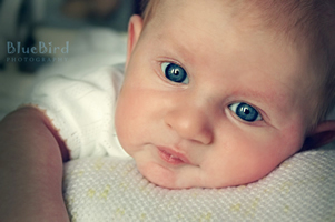 ������� ������� ������