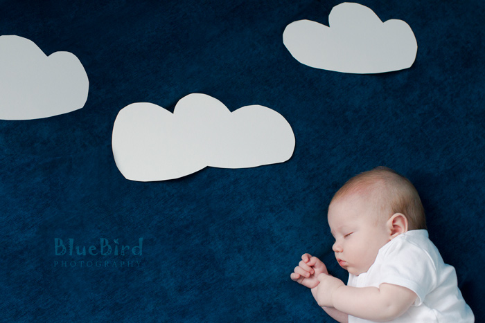 ������� �������� ������