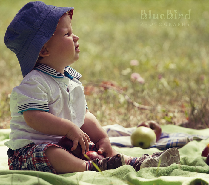 ������� ���������� ����