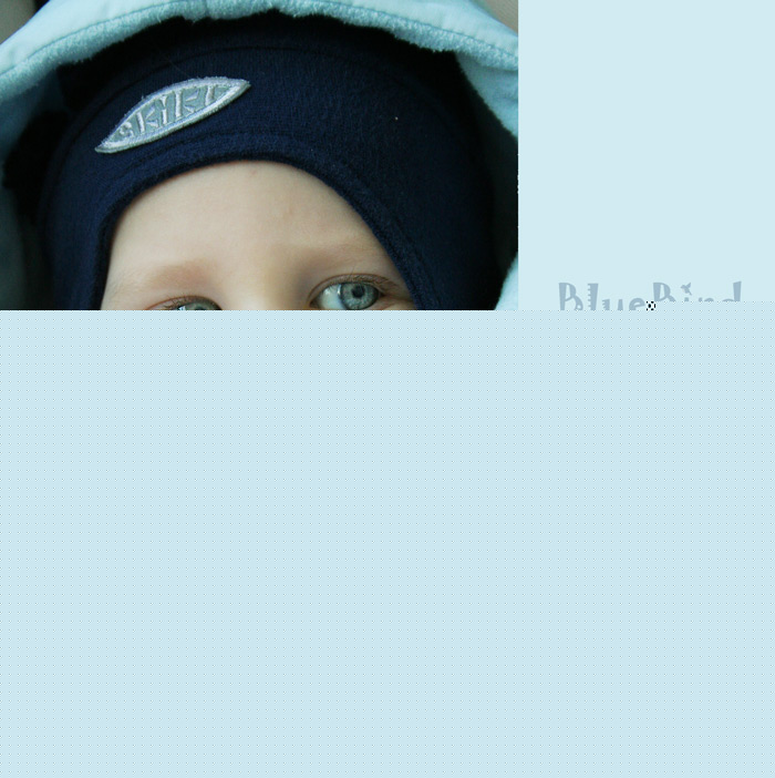 ������� ���������� ����