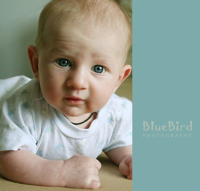 ������� ������� ������