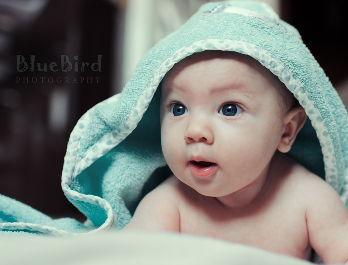 ������� ���������� ������