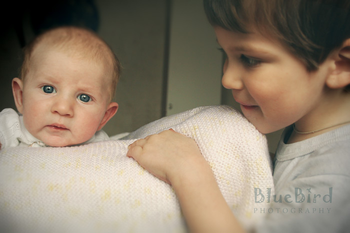 ������� ���������� ����