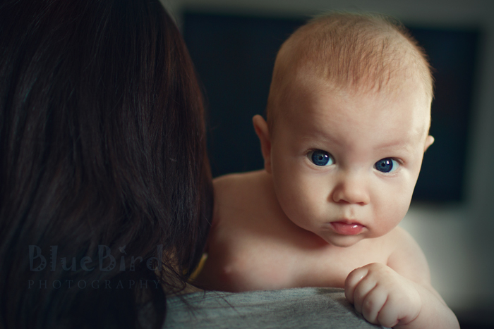 ������� � �������� ���������� ����