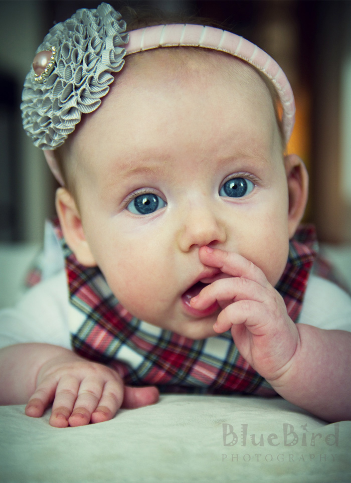 ������� �������� ������