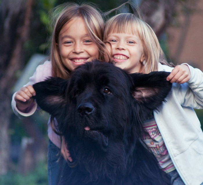 ������� ������� �� �������