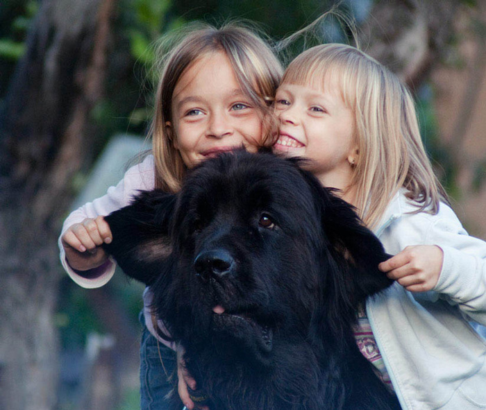 ������� �������� ������