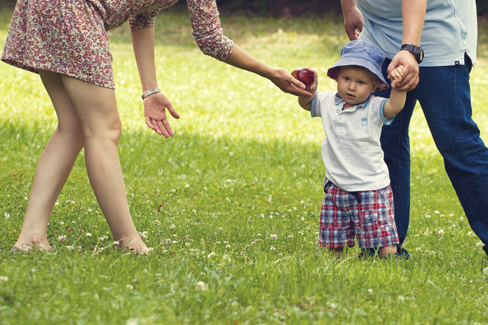 �������� ����������