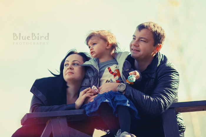 �������� ���������� �� ����� ������