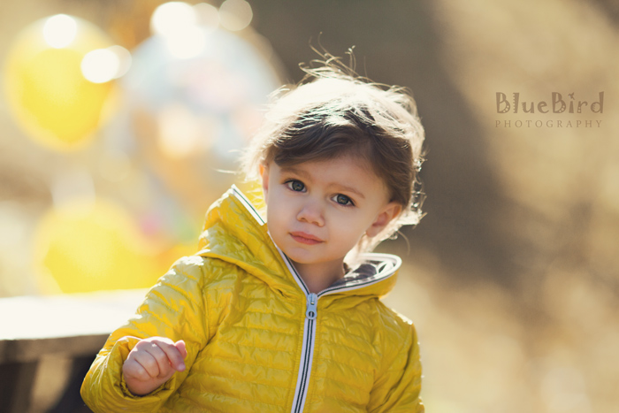 �������� ���������� �� �����