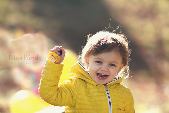 �������� ���������� �� ����� ������