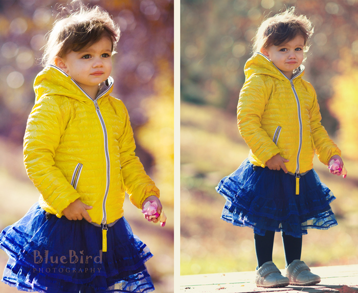 �������� ���������� �� �����