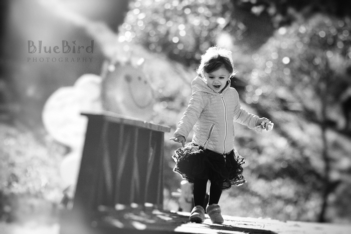 �������� ���������� �� �����