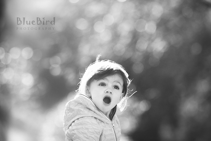 �������� ���������� �� �����