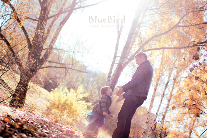 ���������� ���������������