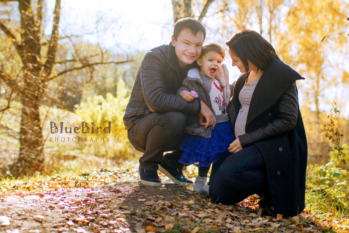 �������� ���������� �� �����