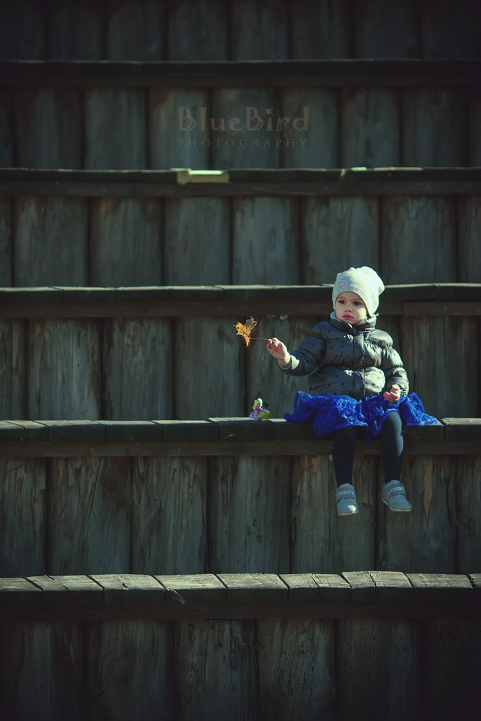 �������� ����������