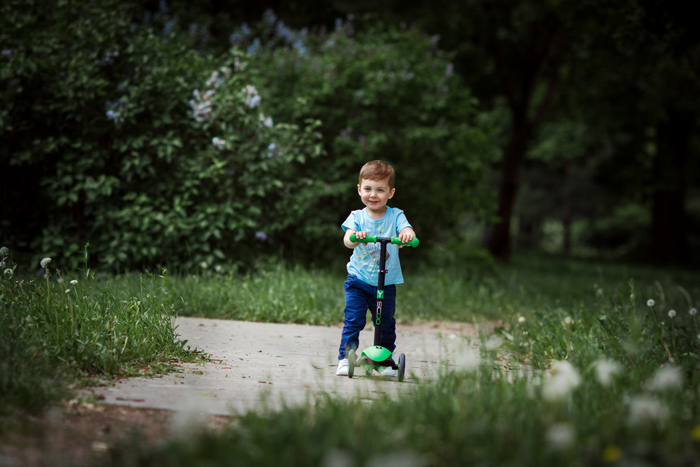 �������� �������