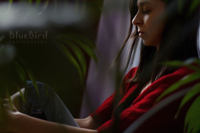 ������� ���������� ����������