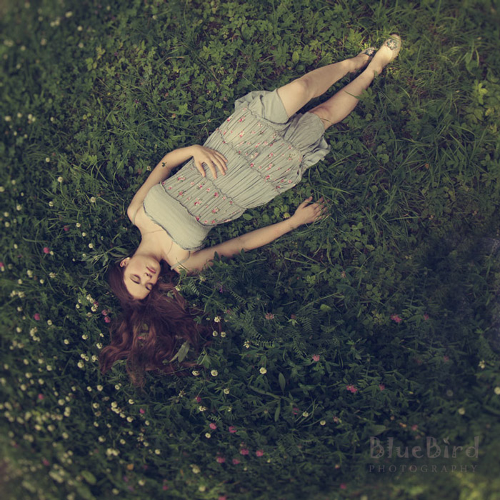 ������� ���������� ����������