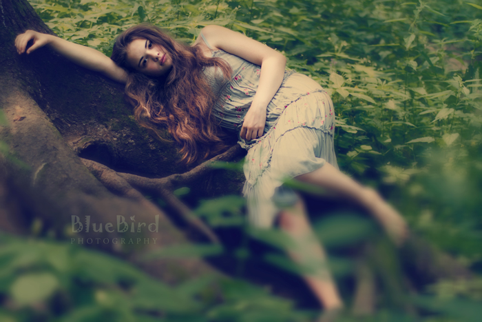 ������� ���������� ����������