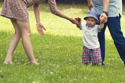 �������� ���������� �� �����