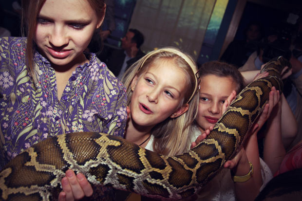 �������� �����